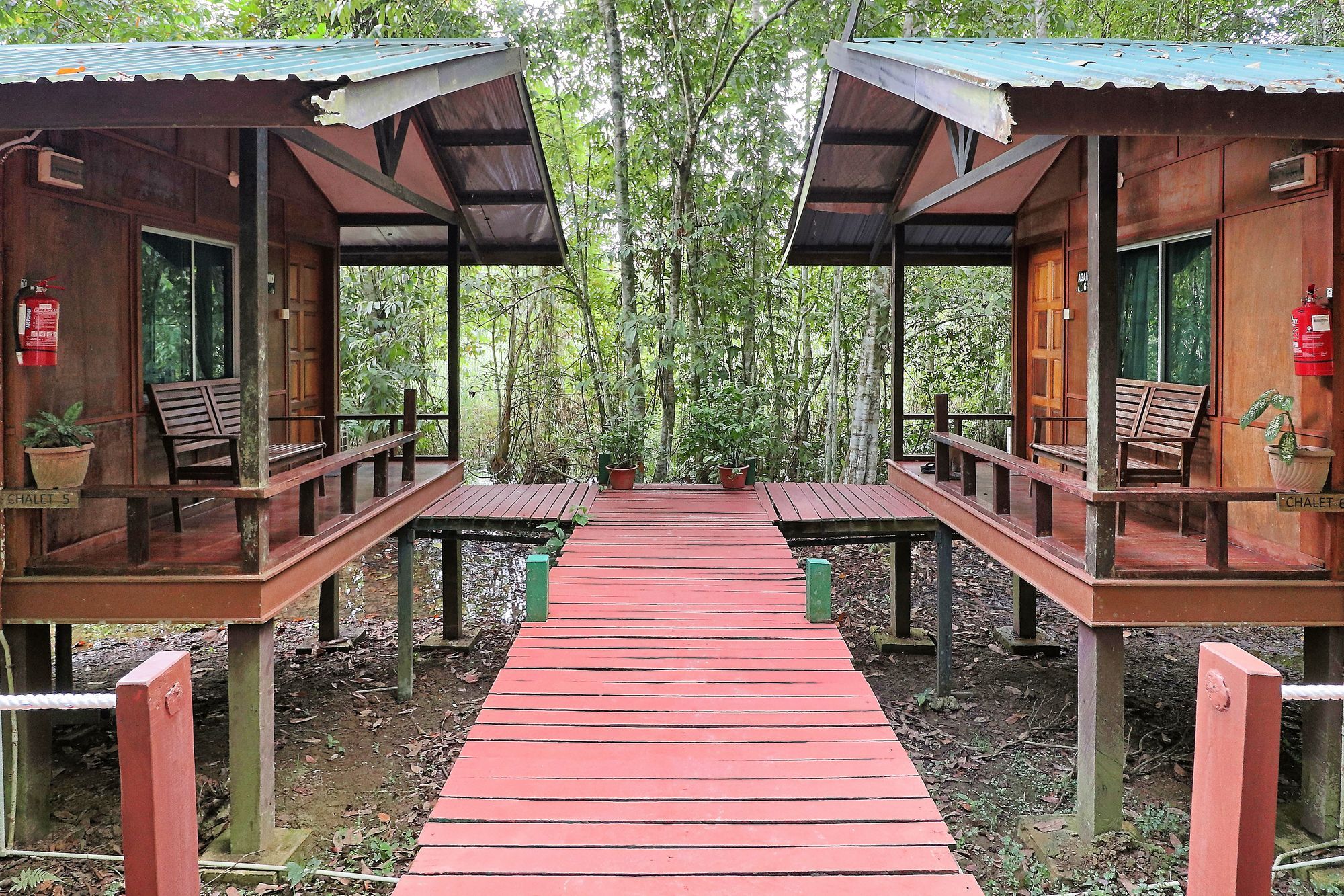 Tanini Kinabatangan Formerly Known As Nature Lodge Kinabatangan Bilit Kültér fotó